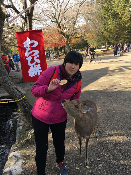 奈良公園餵鹿